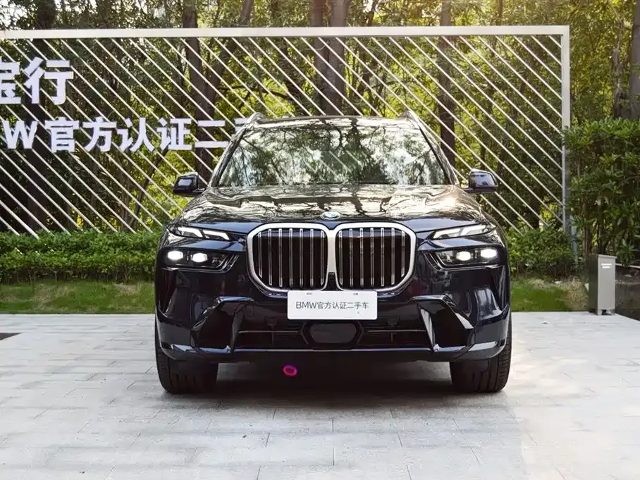 BMW X7 — фото 9