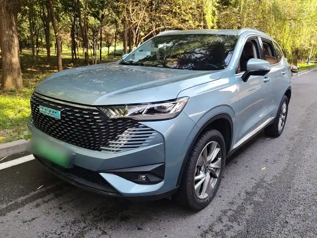 Haval H6 New Energy — фото 1
