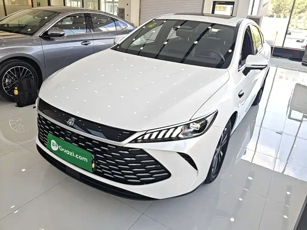 BYD Qin PLUS — фото 1