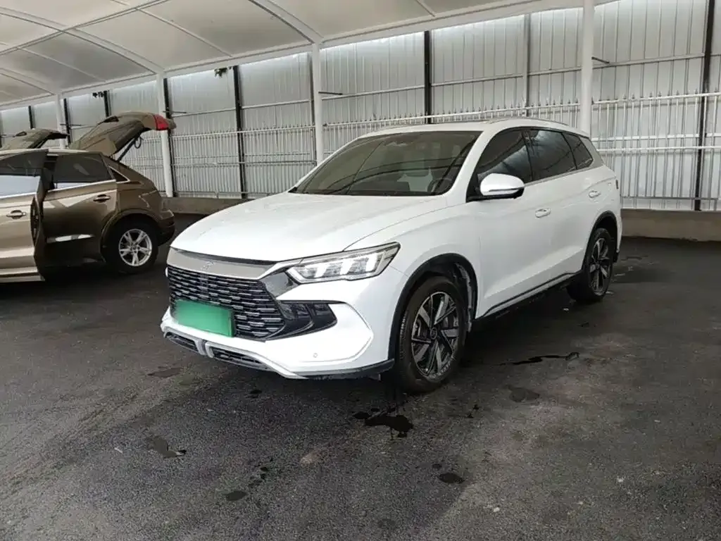 BYD Pro New Energy — фото 4