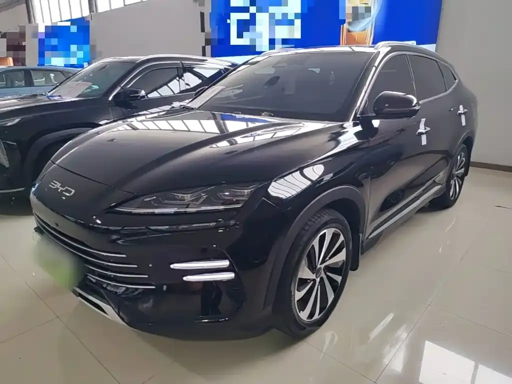 BYD PLUS New Energy — фото 1