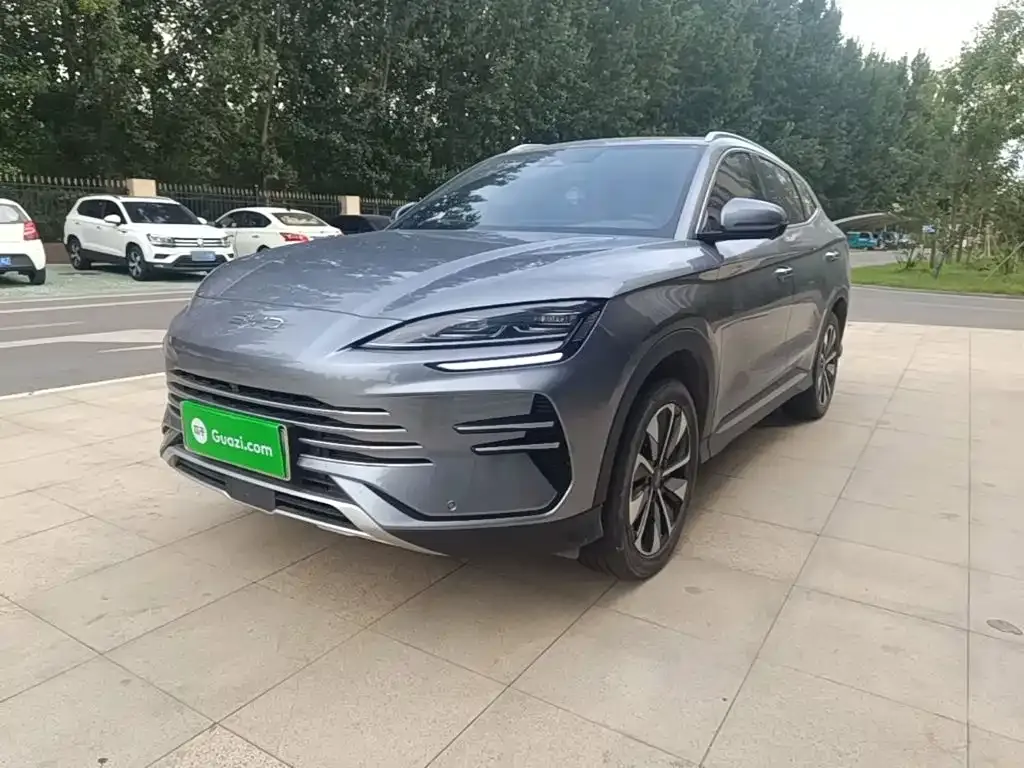 BYD PLUS New Energy — фото 6