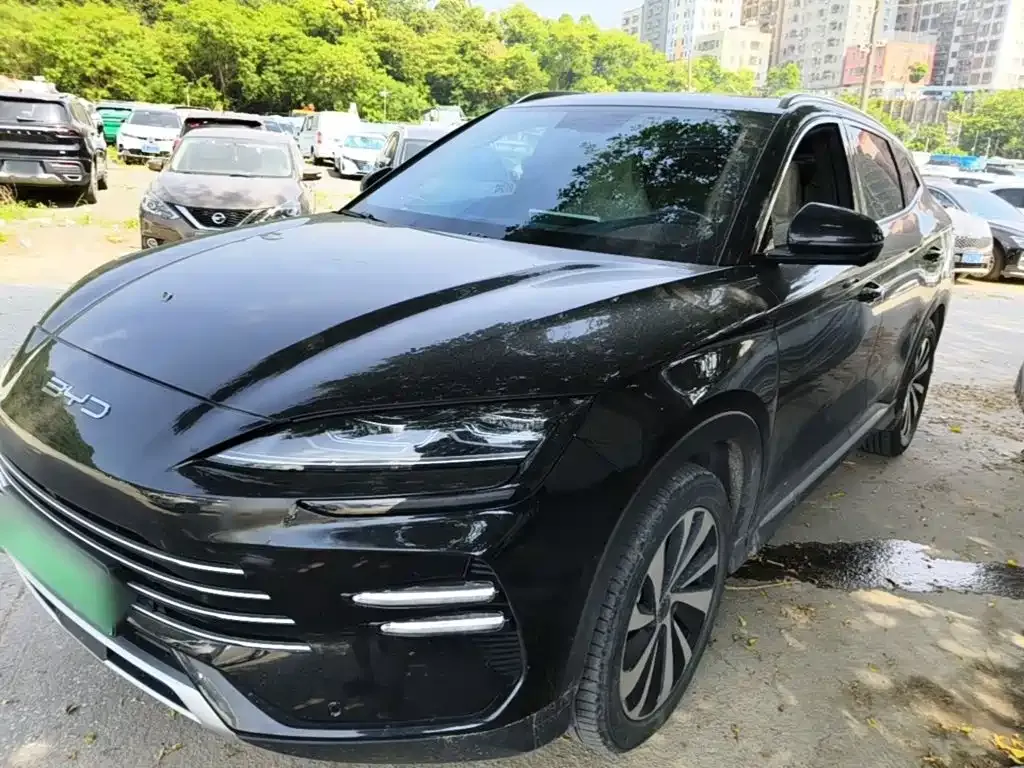 BYD PLUS New Energy — фото 9