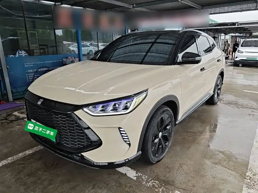 BYD PLUS New Energy — фото 1