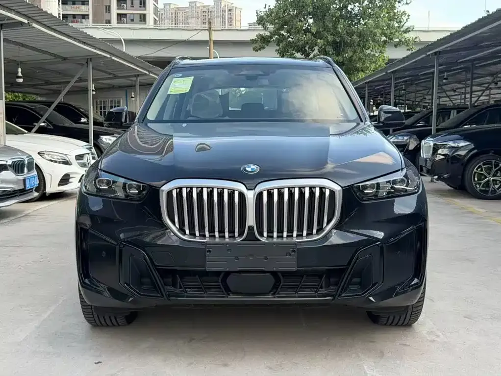 BMW X5 — фото 10