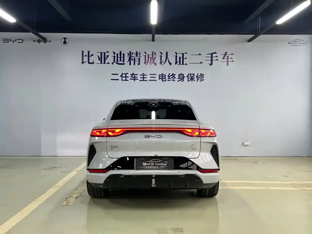 BYD L EV — фото 3