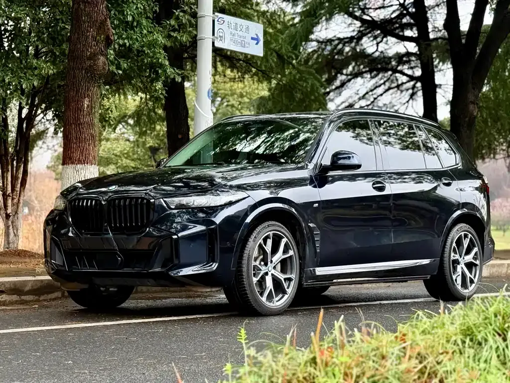 BMW X5 — фото 1