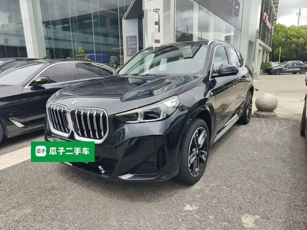 BMW X1 — фото 1