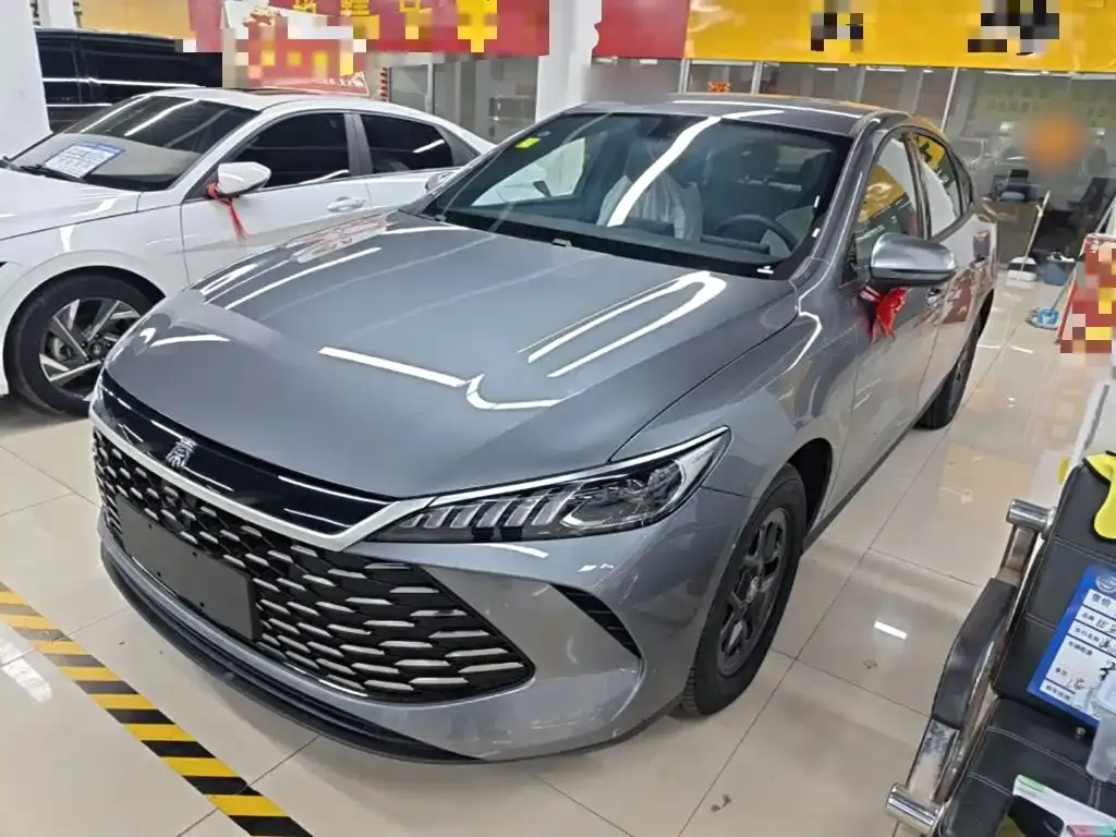 BYD Qin PLUS — фото 1