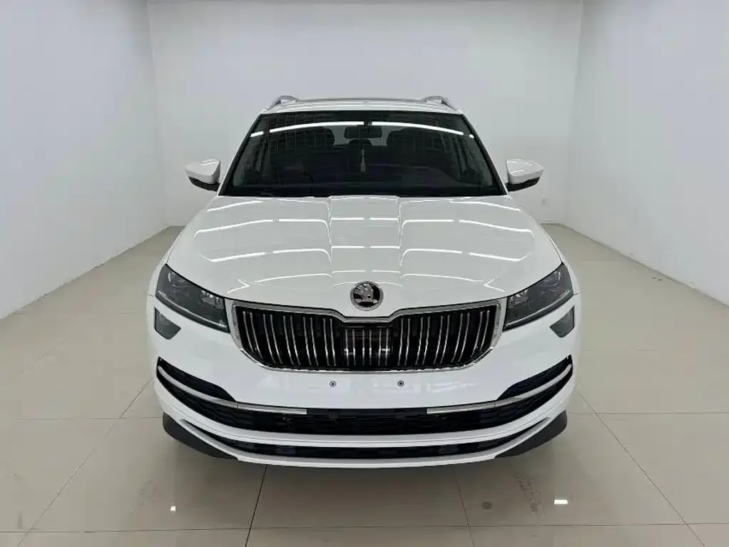 Skoda Karoq — фото 10