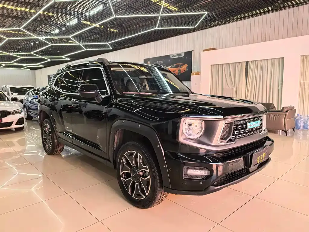 Haval Big Dog PLUS New Energy — фото 4