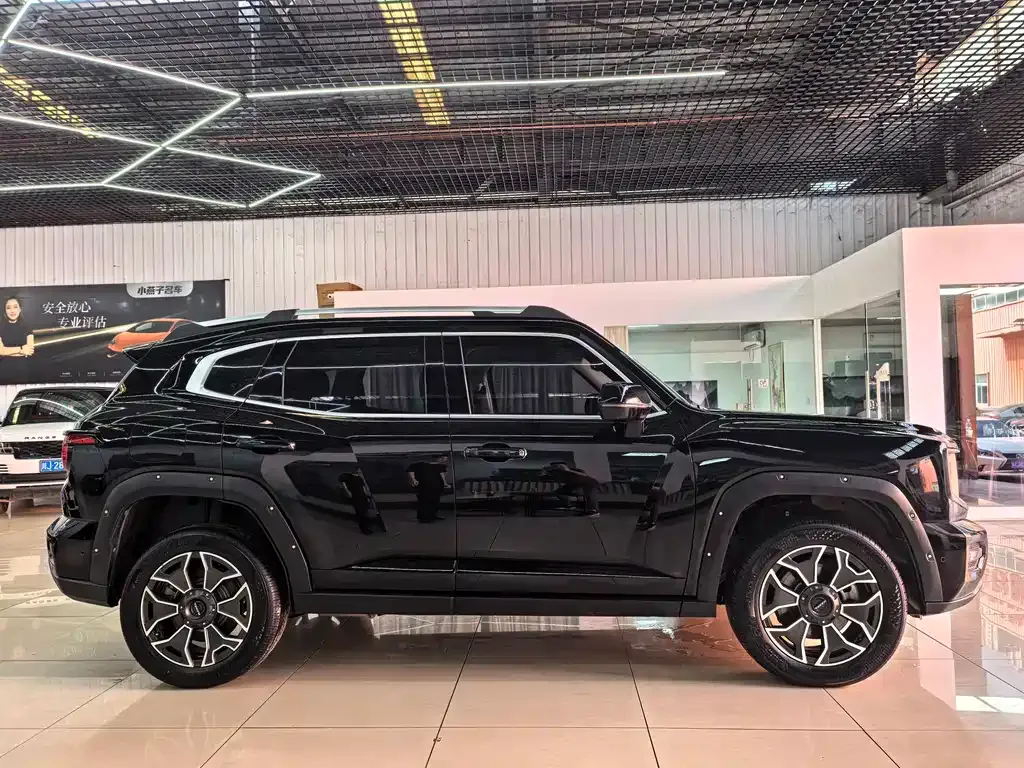Haval Big Dog PLUS New Energy — фото 6