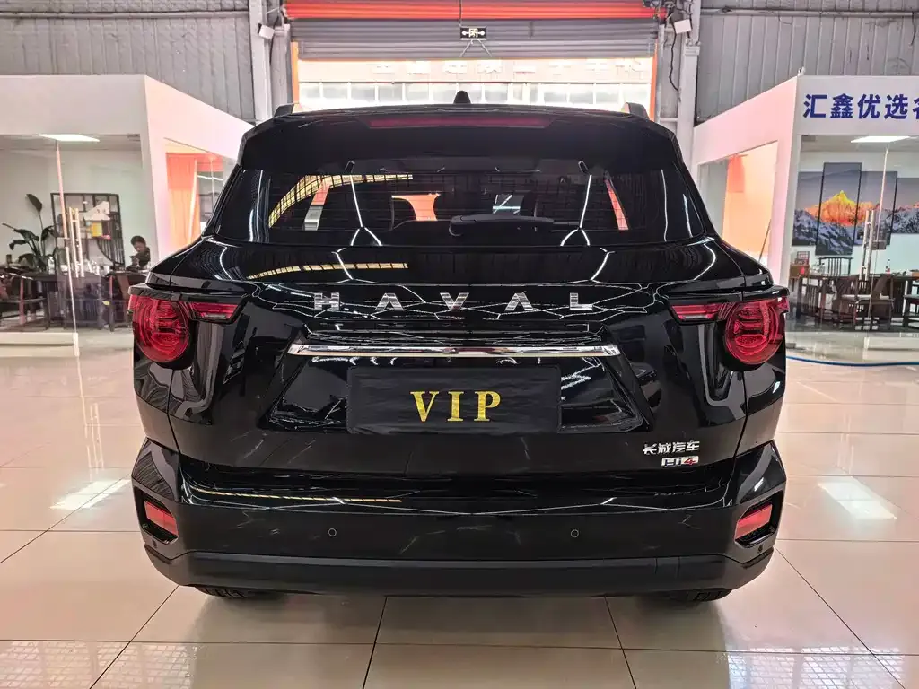 Haval Big Dog PLUS New Energy — фото 7