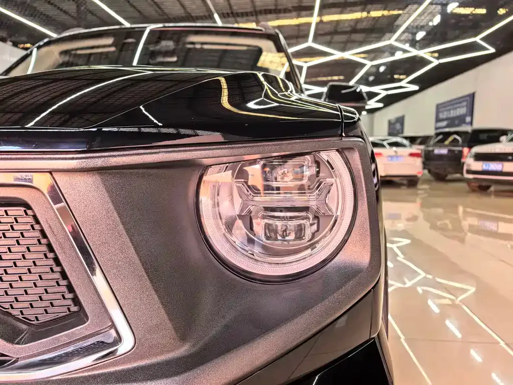 Haval Big Dog PLUS New Energy — фото 8