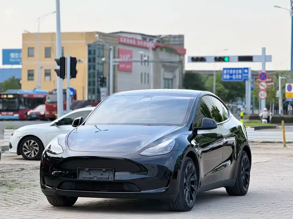 Tesla Model Y — фото 1