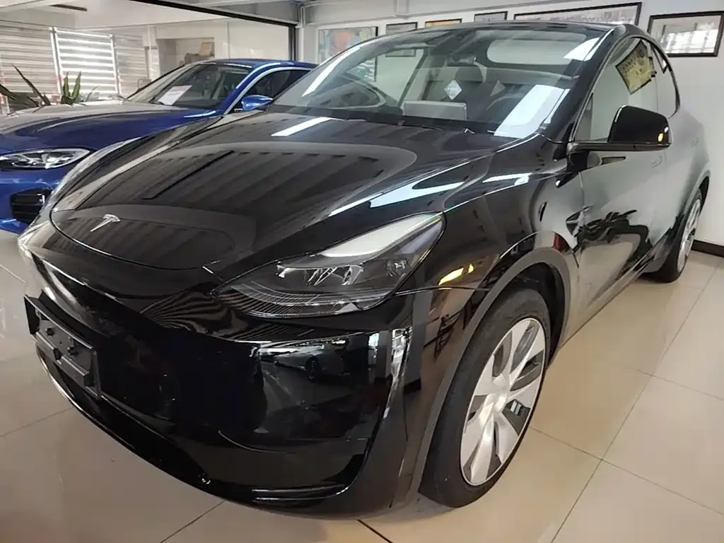 Tesla Model Y — фото 10