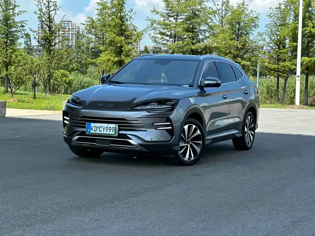 BYD PLUS New Energy — фото 1