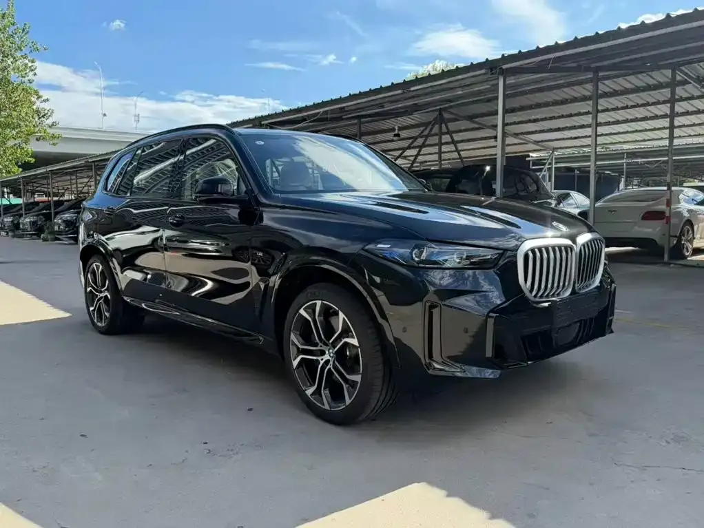BMW X5 — фото 9