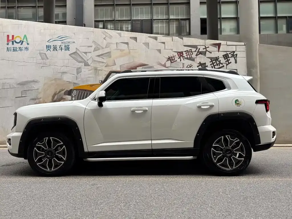 Haval H7 (Big Dog Plus) New Energy — фото 10