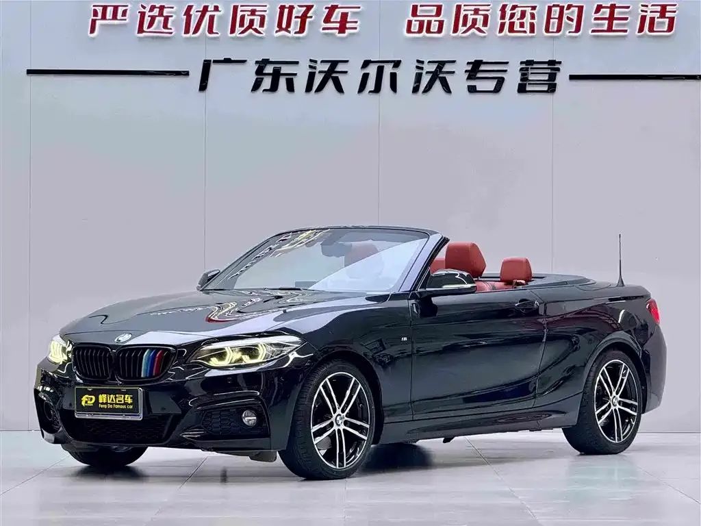 BMW 2 Series (Import) — фото 1
