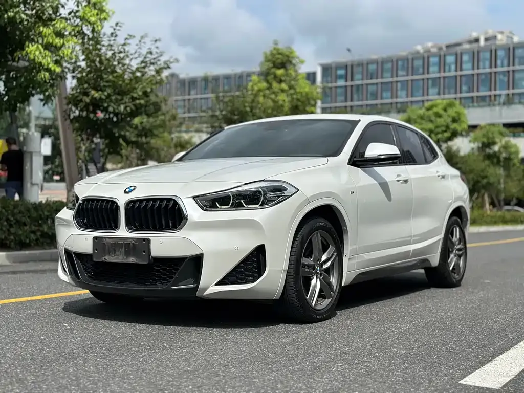 BMW X2 — фото 1