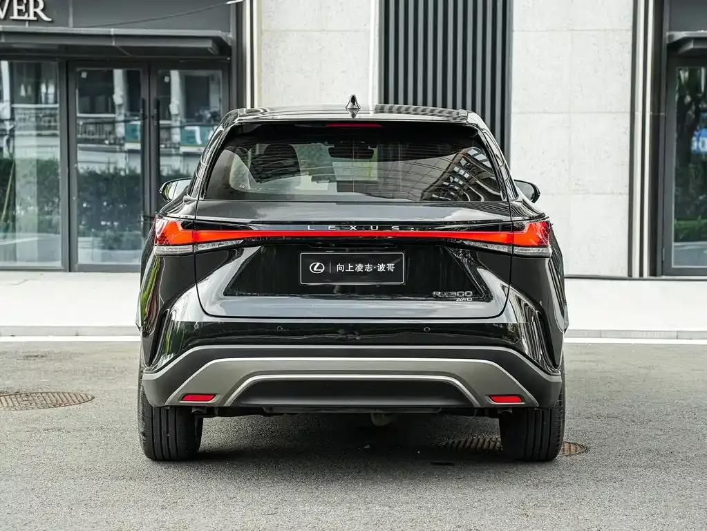 Lexus RX — фото 4