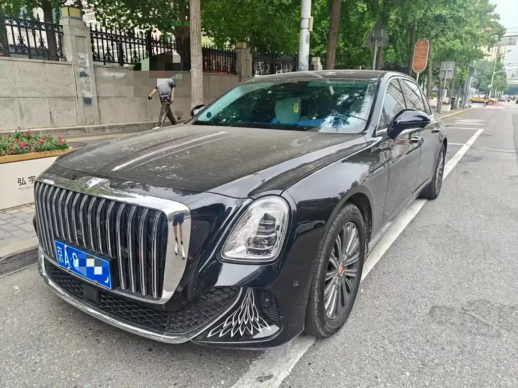 Hongqi Hongqi Golden Sunflower Guoya — фото 1