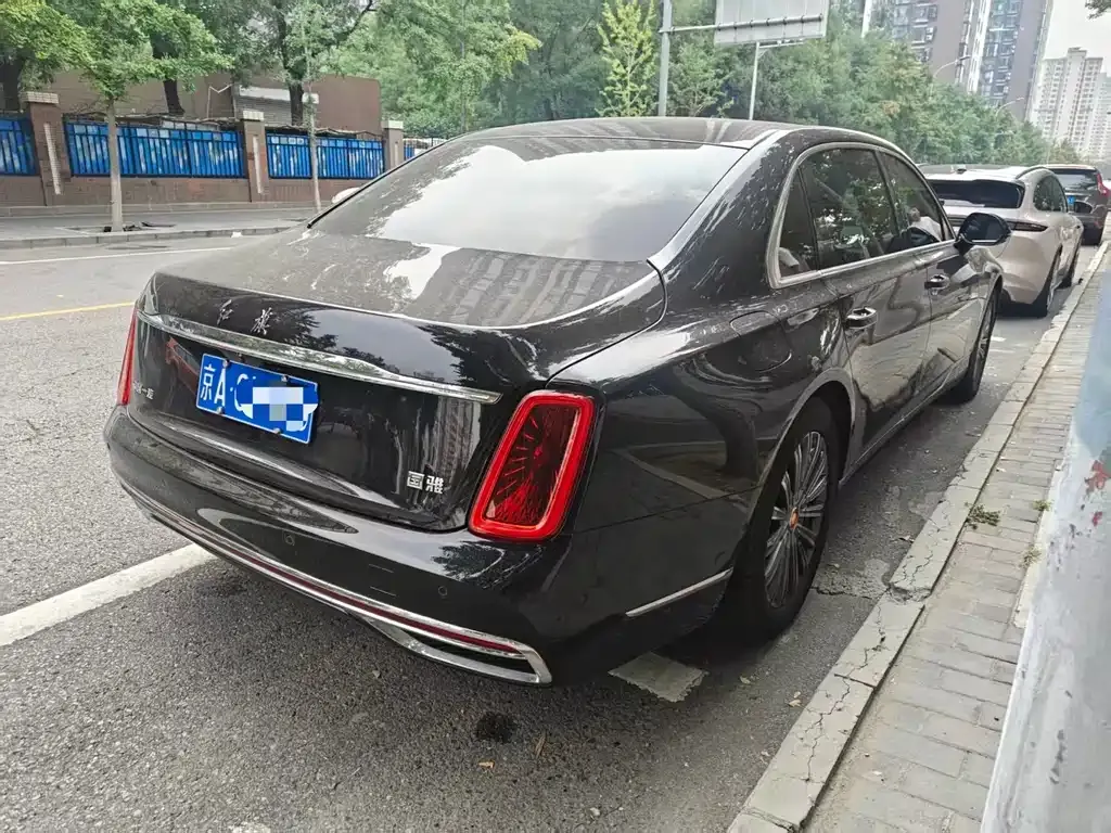 Hongqi Hongqi Golden Sunflower Guoya — фото 3