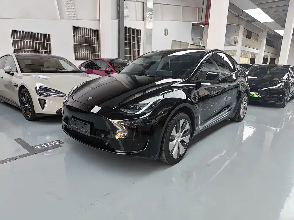 Tesla Model Y — фото 1