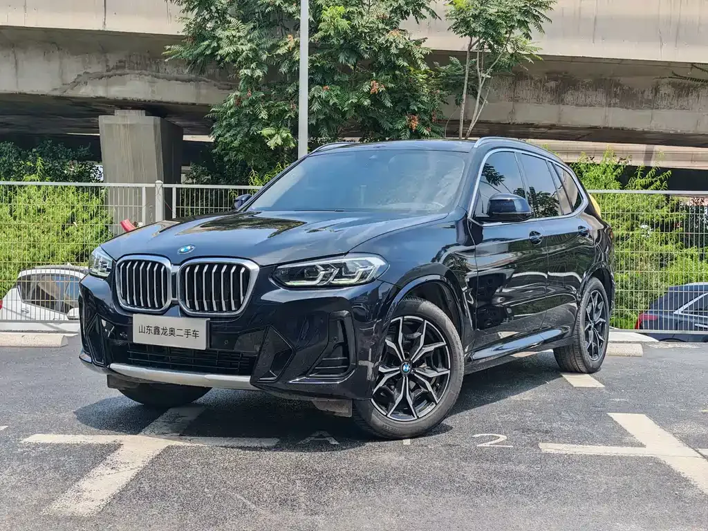 BMW X3 — фото 1