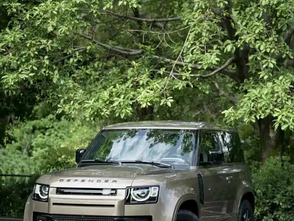 Land Rover Defender — фото 1