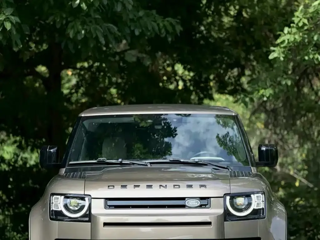 Land Rover Defender — фото 5