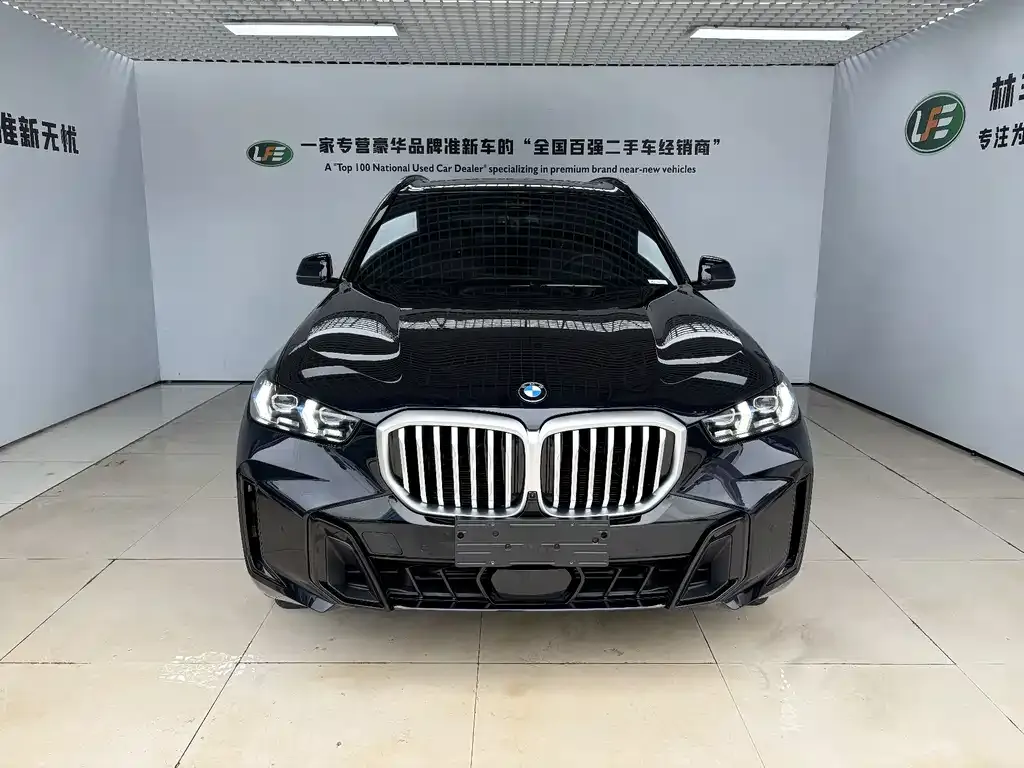BMW X5 — фото 9