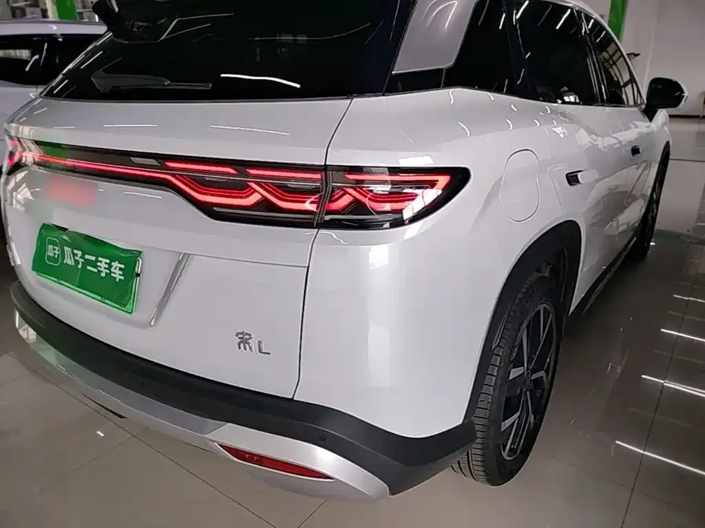 BYD L DM-i — фото 6