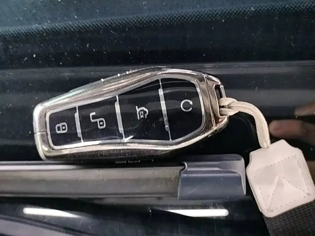 BYD L DM-i — фото 4
