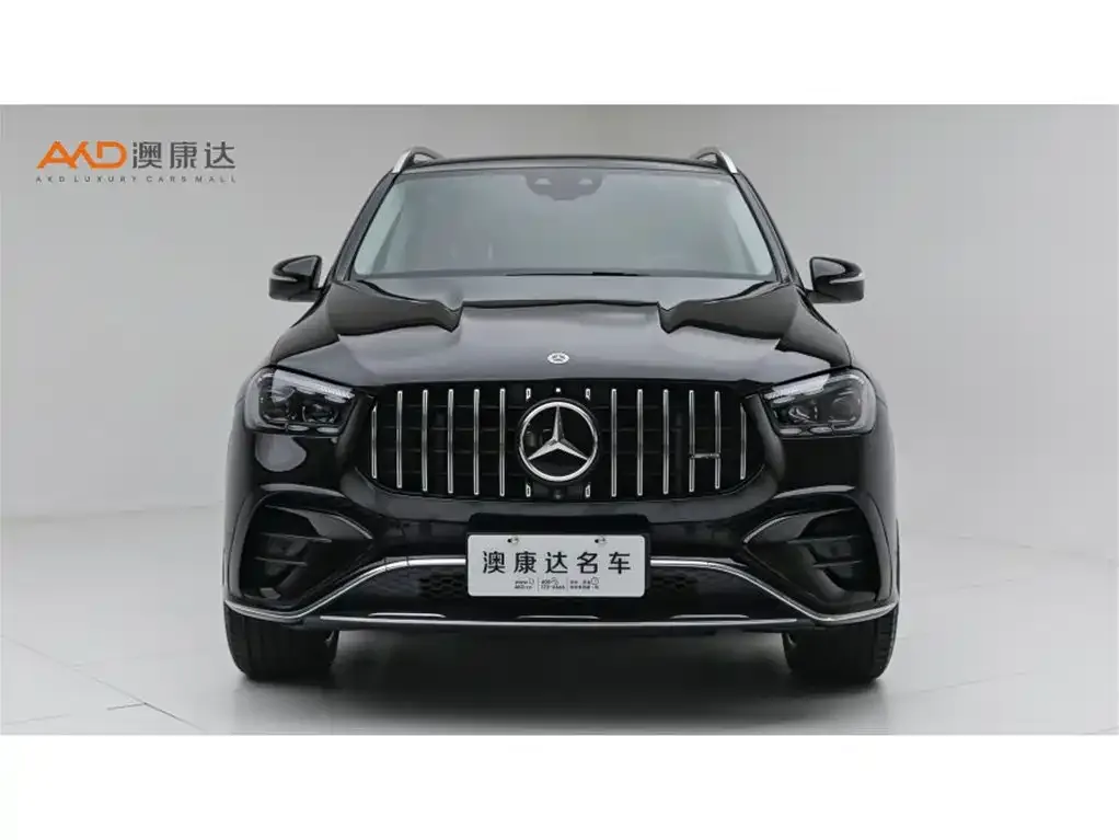 Mercedes-Benz 奔驰GLE(进口) — фото 6