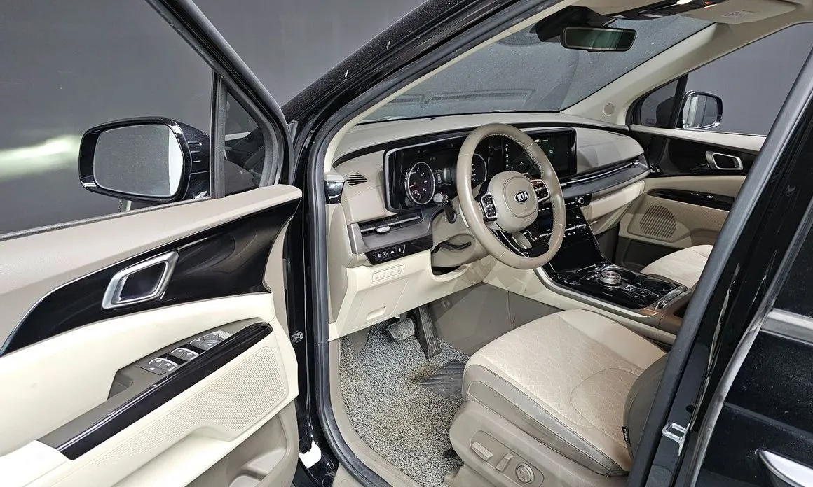 Kia Carnival — фото 10