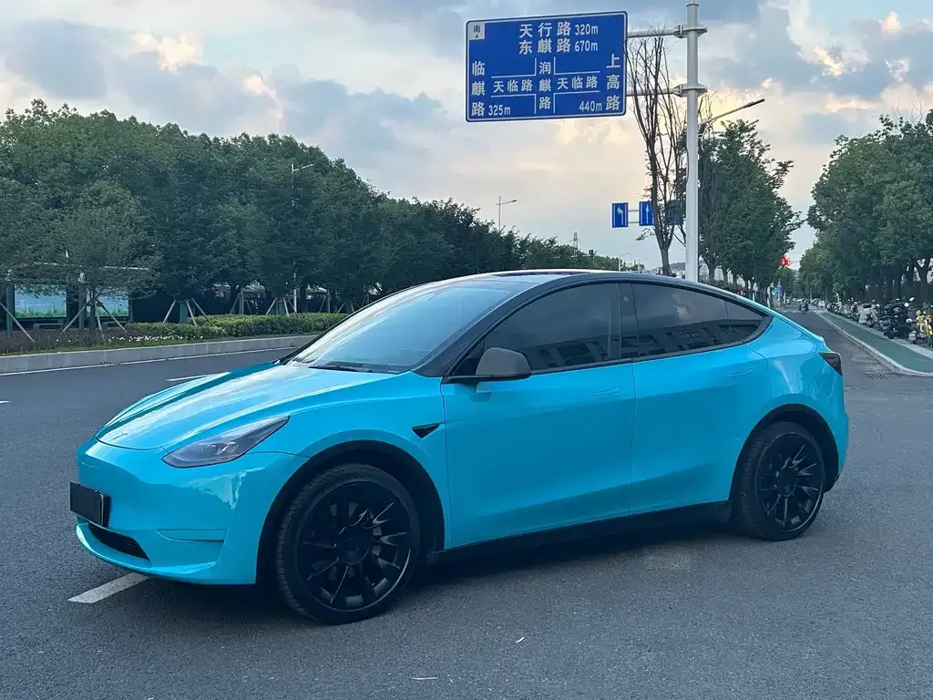 Tesla Model Y — фото 1