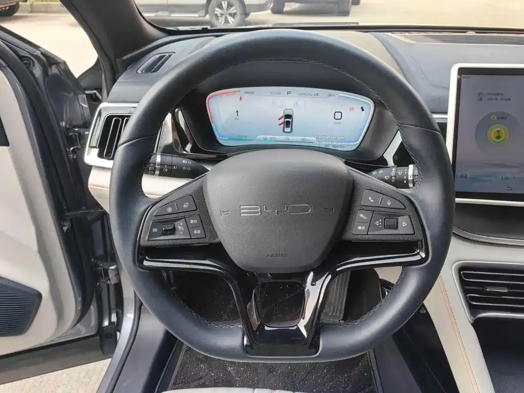 BYD PLUS New Energy — фото 10