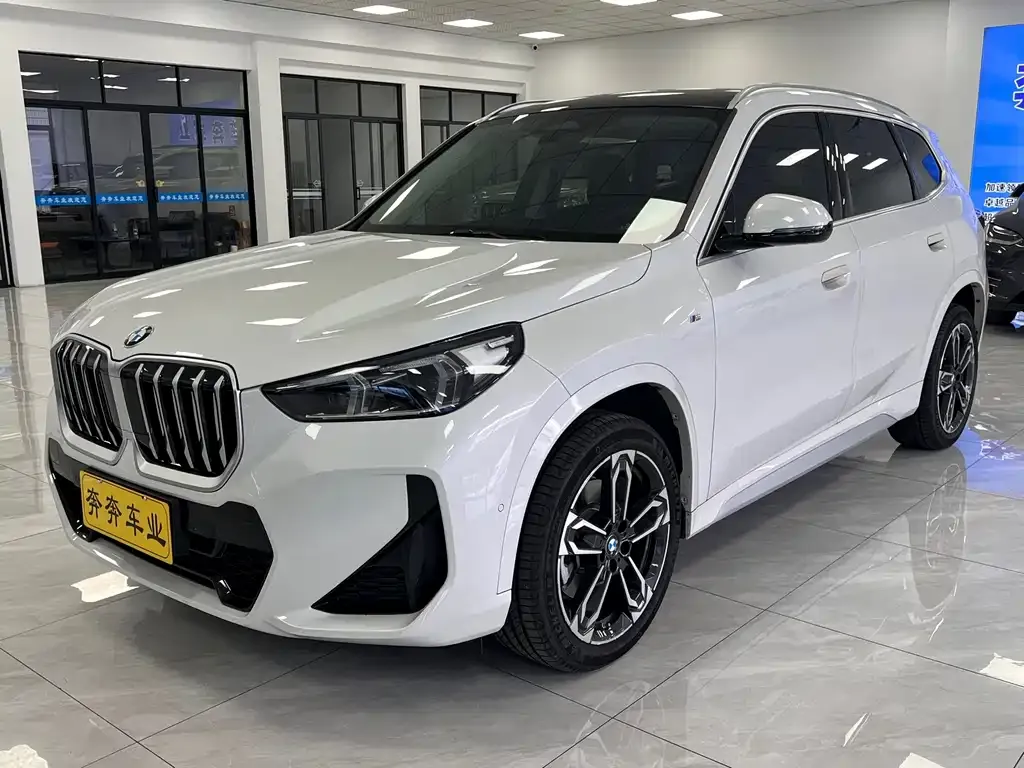 BMW X1 — фото 1