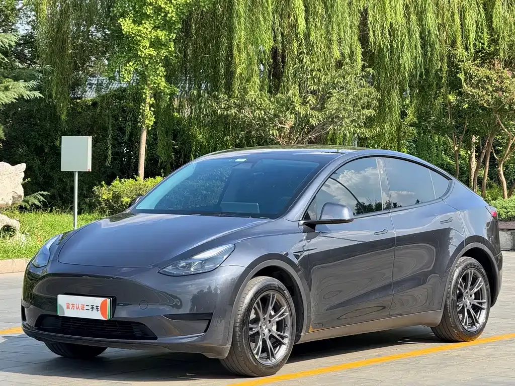 Tesla Model Y — фото 1