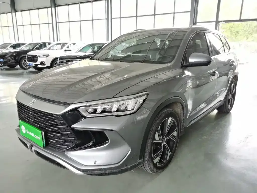 BYD Pro New Energy — фото 1