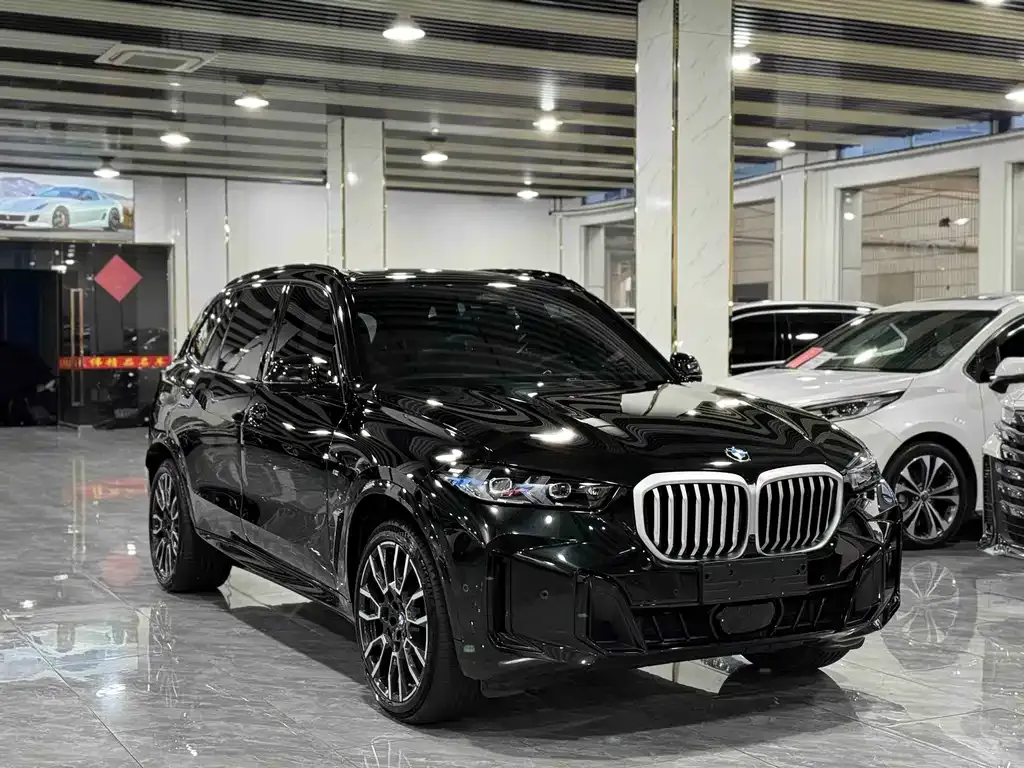 BMW X5 — фото 10