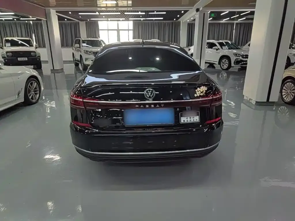 Volkswagen Passat — фото 10