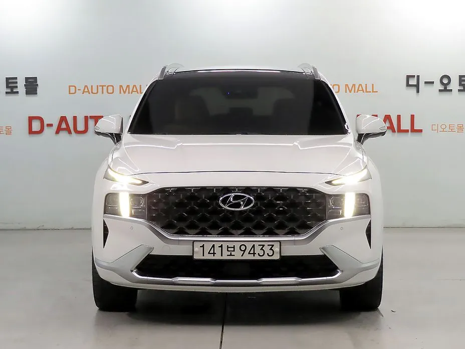 Hyundai Santafe — фото 8