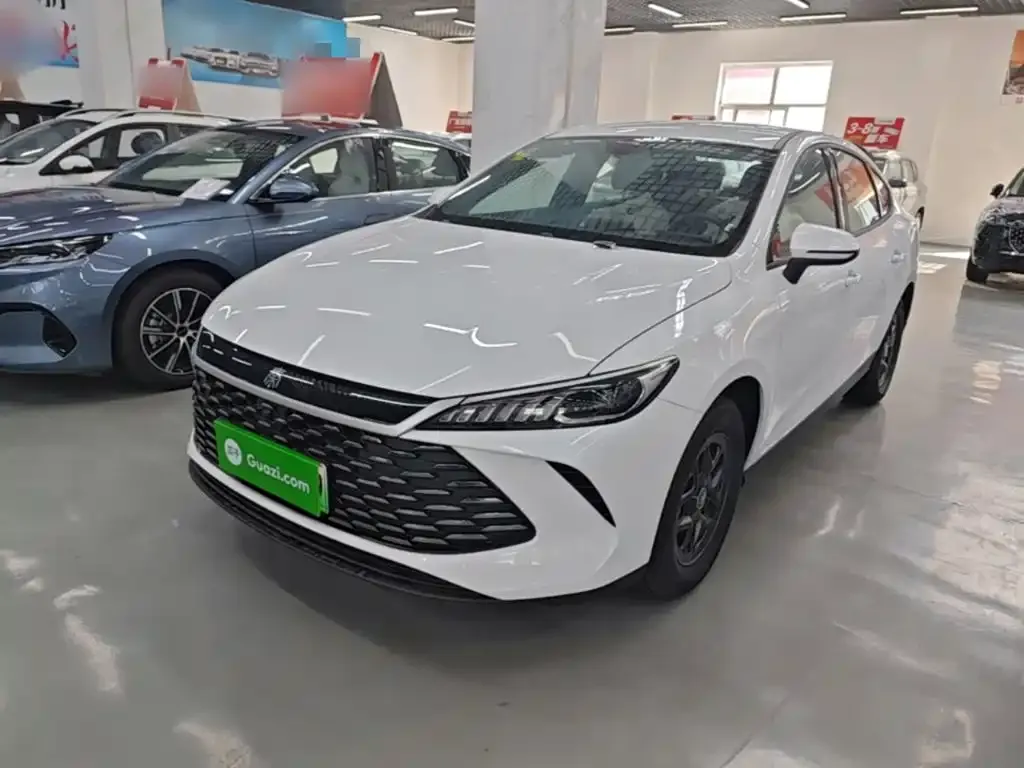BYD Qin PLUS — фото 1