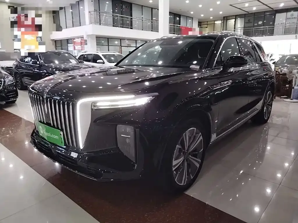 Hongqi E-HS9 — фото 9