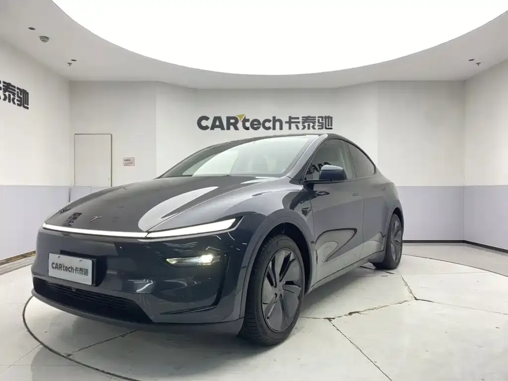 Tesla Model Y — фото 1