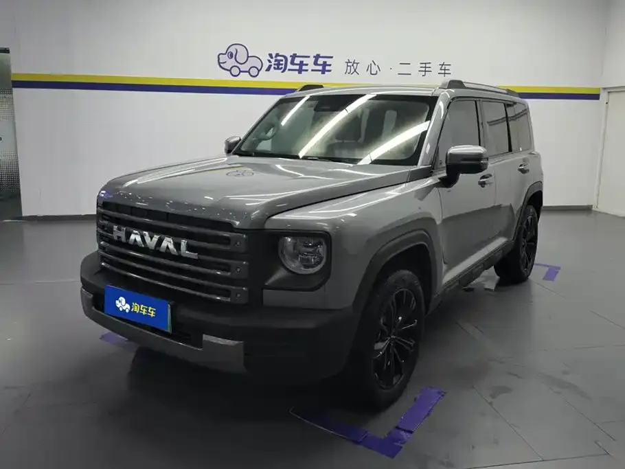Haval Menglong New Energy — фото 1