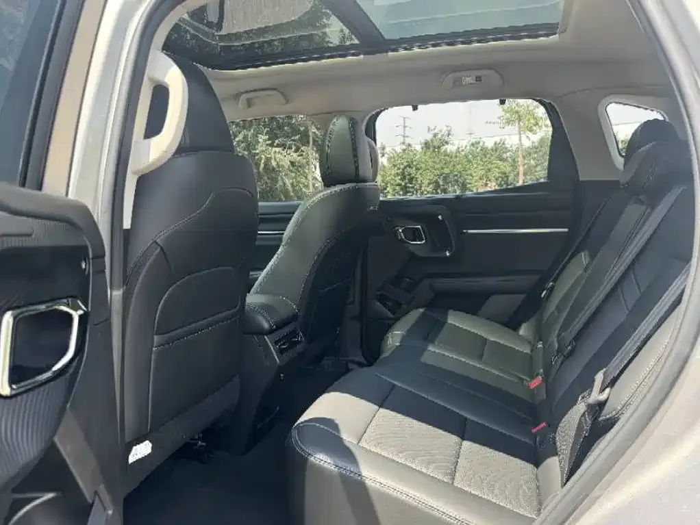 Haval H7 (Big Dog Plus) New Energy — фото 7